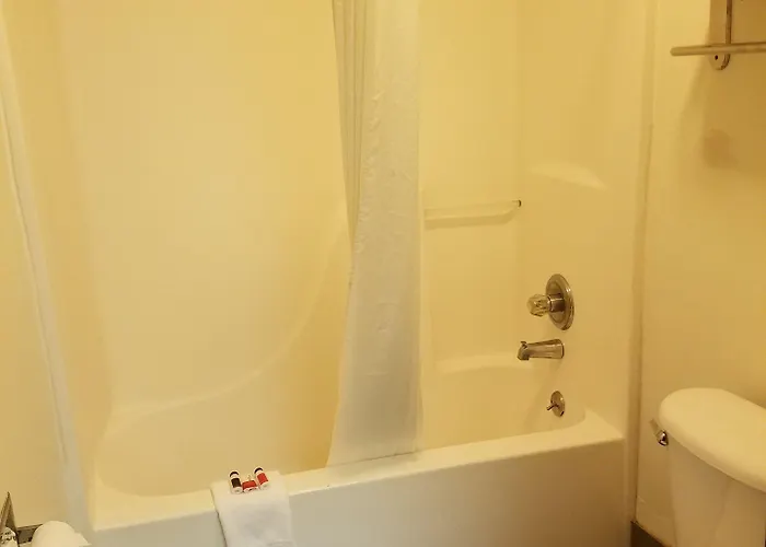 Hotel Super 8 By Wyndham Chicago O'hare Airport