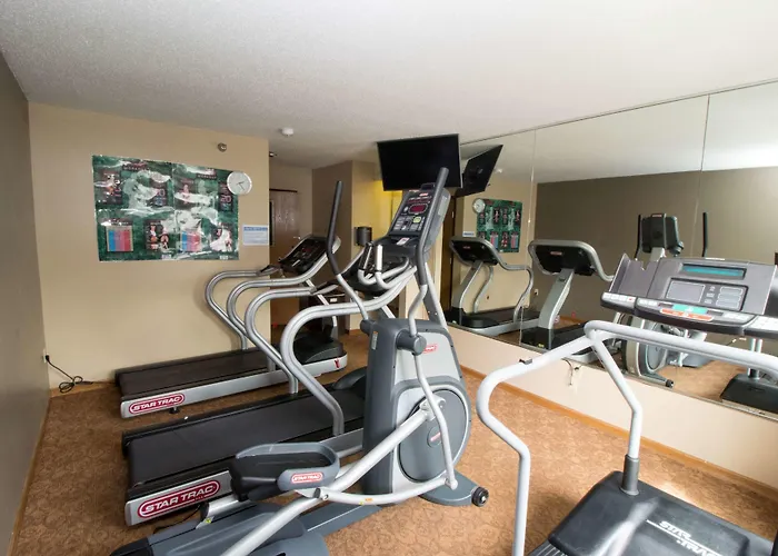 Super 8 By Wyndham Chicago O'hare Airport Hotel Elk Grove Village