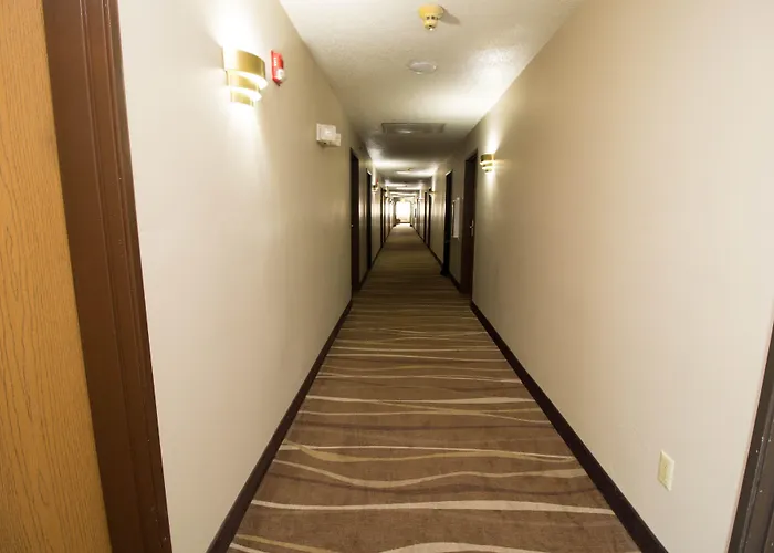 Super 8 By Wyndham Chicago O'hare Airport Hotel
